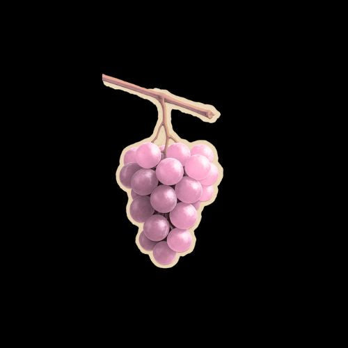 Vins Rosés